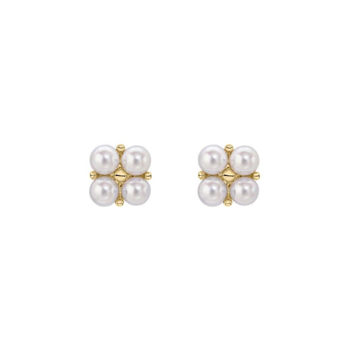 9ct Yellow Gold Freshwater Pearl Stud Earrings