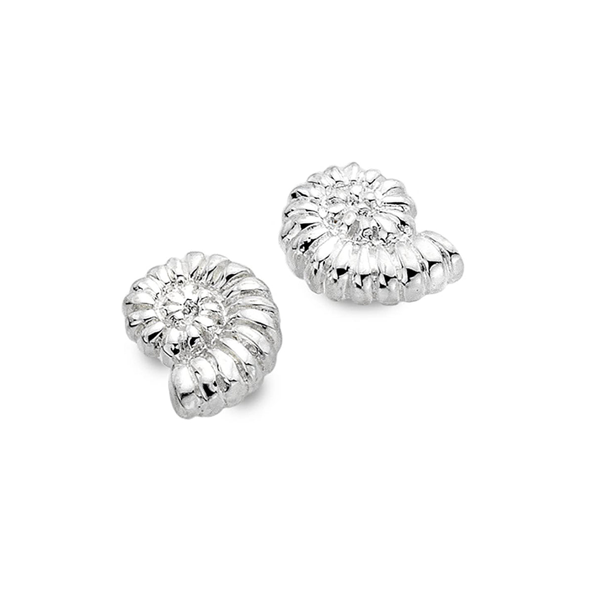 Sterling Silver Ammonite Stud Earrings